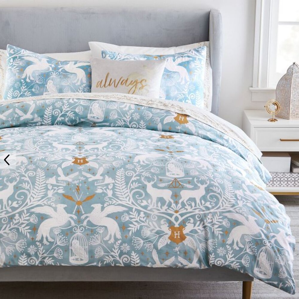 Pottery Barn Harry Potter Duvet and 2 Shams